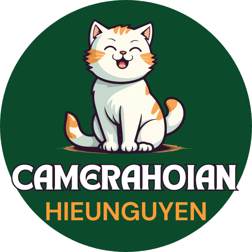 camerahoian.com